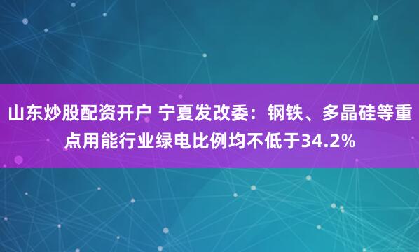 山东炒股配资开户 宁夏发改委：钢铁、多晶硅等重点用能行业绿电比例均不低于34.2%